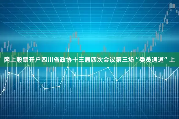 网上股票开户四川省政协十三届四次会议第三场“委员通道”上